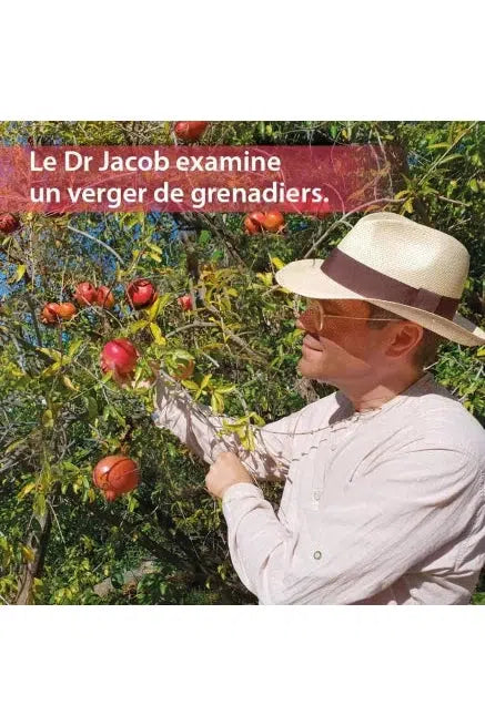 Elixir Méditerranéen