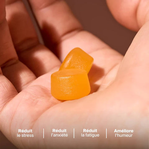 Gommes Anti-Stress au Safran - Kit d'essai