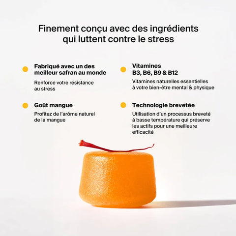Gommes Anti-Stress au Safran - Kit d'essai