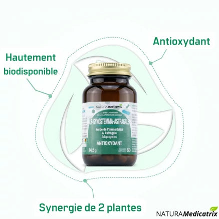 Naturamedicatrix - LF-GYNOSTEMMA-ASTRAGALE