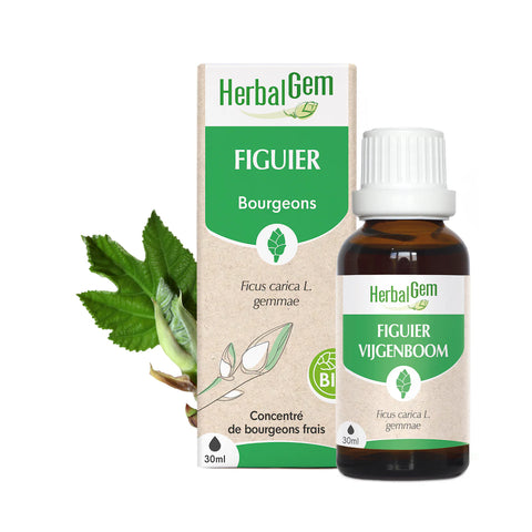 HERBALGEM - Bourgeon de figuier - Bio