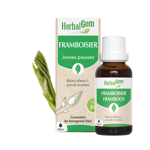 HERBALGEM - Bourgeon de Framboisier BIO