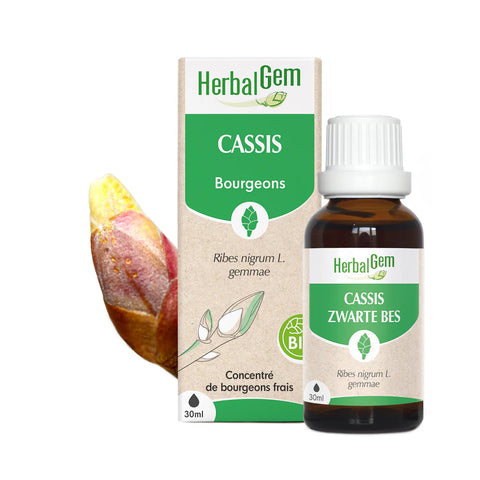 HERBALGEM - Bourgeon de cassis - Bio