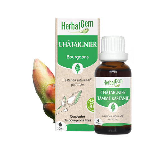 HERBALGEM - Bourgeon de Châtaignier - Bio