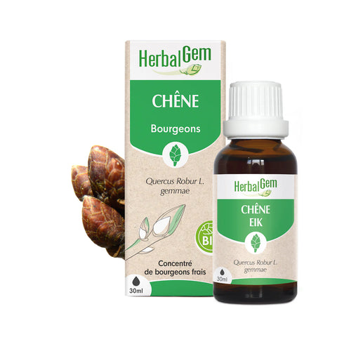 HERBALGEM - Bourgeon de Chêne - Bio